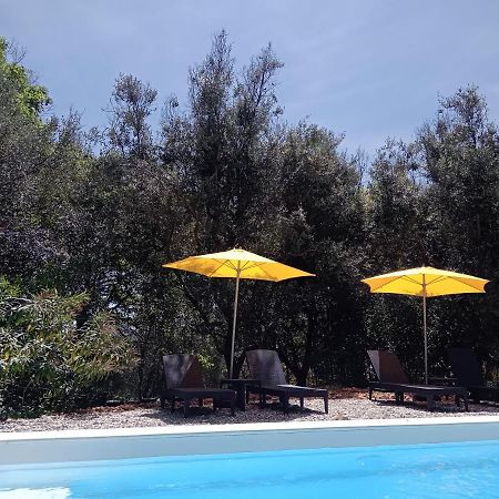 2 Pieces "Le Brin De Soleil" Gites Appart 'Hotel L'Echappee Belle D'Aubenas Logement 1 Sur 3 Buitenkant foto